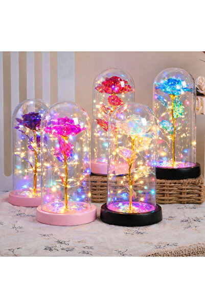 First Choice Crystal Rose 21cm with Multicolor LED Light in Plastic Dome