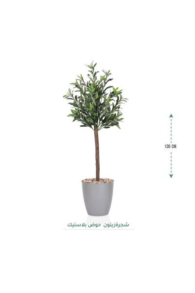 CENTRHOME An olive tree 130 cm tall
