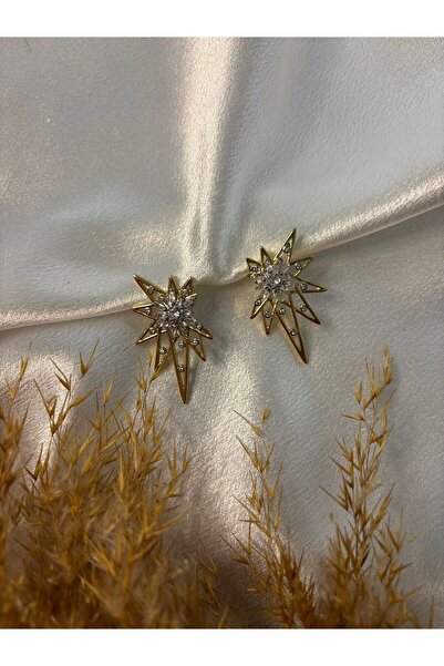 stainless steell Zircon Stone Lightning Model Steel Earrings