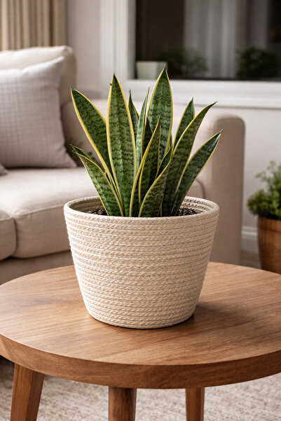 ÖRGÜM Sepet Dekoratif Saksı Kılıfı 15x15 cm BITKI DAHİL DEĞİLDİR