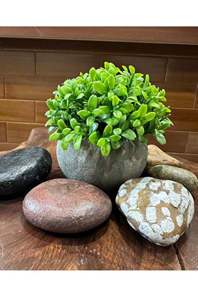 FB Cup زهرة البقس الاصطناعية (الشمشير) الفاخرة من نوع أنثراسيت أزرق بلون الكو...