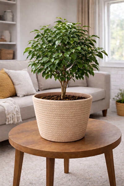 ÖRGÜM Saksı Kılıfı Dekorarif Bitki Sepeti 20x20 cm BİTKİ DAHİL DEĞİLDİR