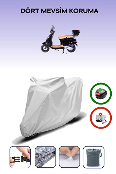 Breen Gray Rear Bag Compatible with Falcon Cooper 50 Compatible Motorcycle Ta...