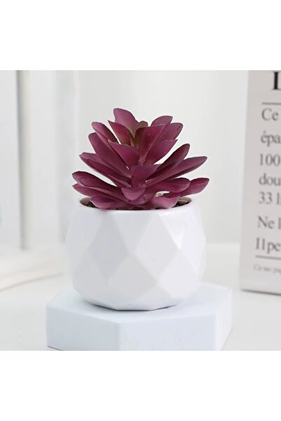 Choice J Eco-Friendly Artificial Succulent Bonsai Set Realistic Plastic Mini Cactus Plants for Home Desk O.