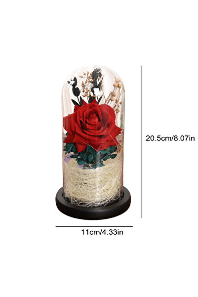 Choice وردة حمراء محفوظة للأبد، زهور اصطناعية في قبة زجاجية، هدايا وردة أبدية لعيد الميلاد والذكرى السنوية