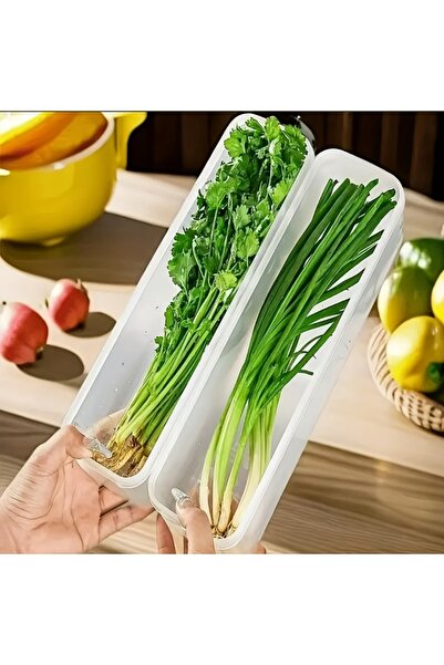 Choice 2pcs 2/4pcs Long Rectangular Food Storage Containers, Plastic Reusable Refrigerator Organizer Boxes