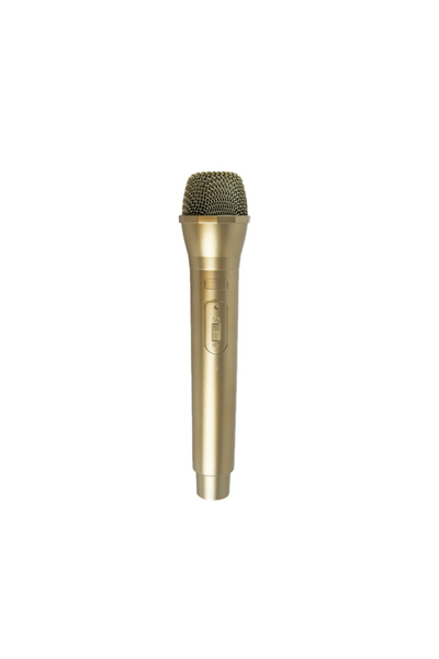 KOQZM Gold 1PC Fake Prop Microphone Props Artificial Microphone Prop Kids Fake Micplastic Pretend Karaoke