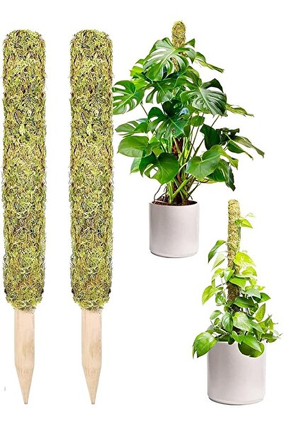 Arabest 2 Pcs Moss Pole, Moss Pole for Plants Monstera, Extending to 15.75 inch Natural Forest Moss Poles