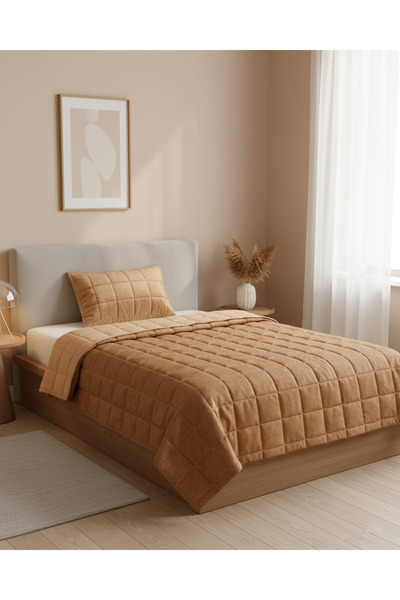 REDTAG Beige 2 Piece Velvet Quilt (Single Size)