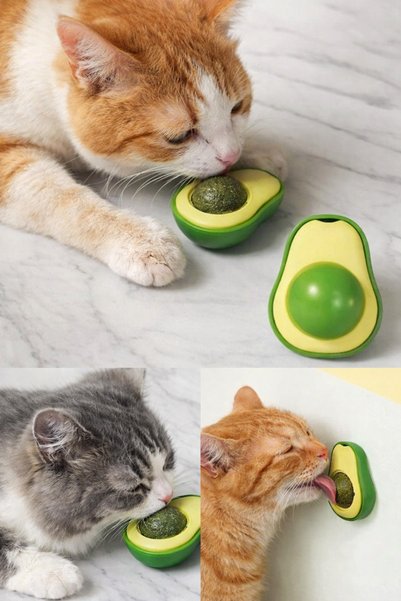 Levn Home NPCQUN Avokado Kedi Nanesi Oyuncağı – Catnip İçerikli Diş Temizleyici