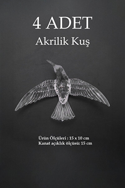 TR Turan Collection 4 ADET Şeffaf Akrilik Kuş Düğün, Organizasyon, Ev Tavan D...