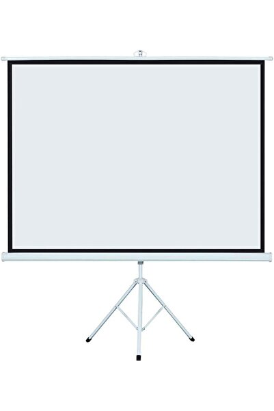 Generic 100 inch 4:3 Portable Projector Screen