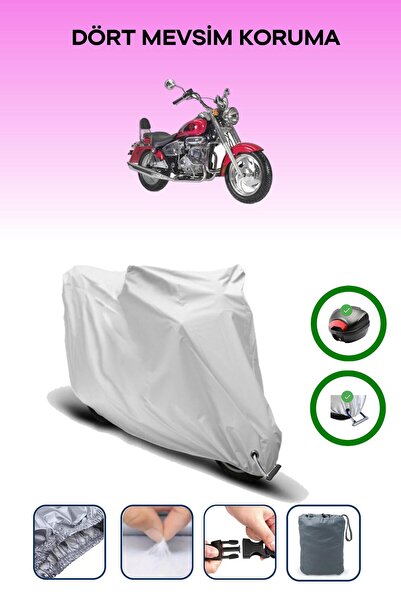 Breen Gray Rear Bag and Lock Compatible Kanuni Caracal 200 Compatible Motorcy...