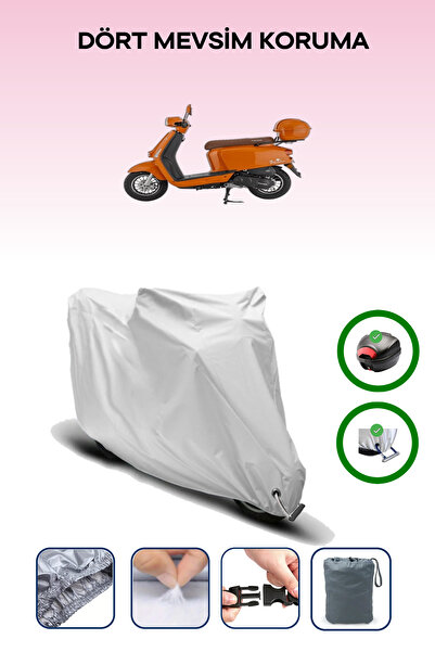 Breen حقيبة خلفية رمادية اللون ومتوافقة مع قماش المحرك المتوافق مع Mondial Virago 50