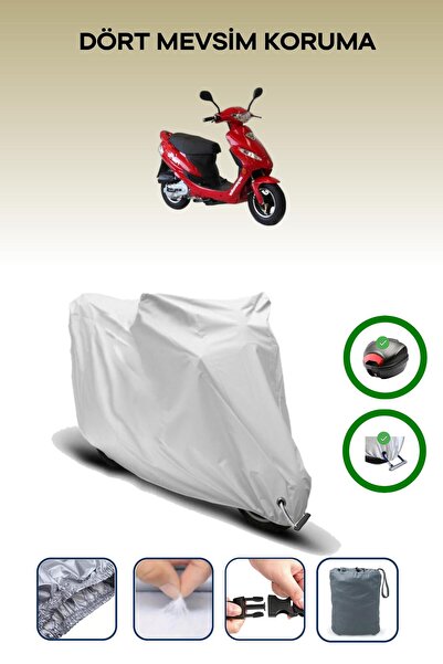 Breen Gray Rear Bag and Lock Compatible Asian Polo 100 Compatible Motorcycle ...
