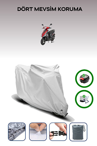 Breen Gray Rear Bag and Lock Compatible Mondial 50 Loyal Compatible Motorcycl...