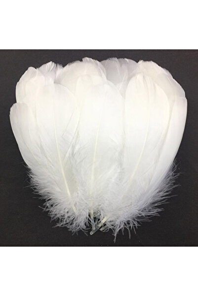 Choice8 ريش إوز طبيعي أبيض عالي الجودة لتزيين حفلات الزفاف، 100 قطعة/كيس، للبيع
