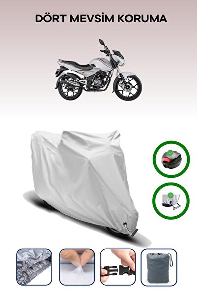 Breen Gray Rear Bag and Lock Compatible Bajaj Discover 125 St Compatible Moto...