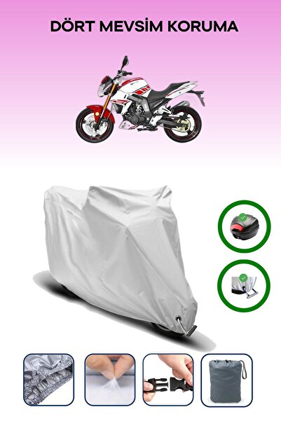 Breen Gray Rear Bag and Lock Compatible Yuki Nt-250 Naked Compatible Motorcyc...
