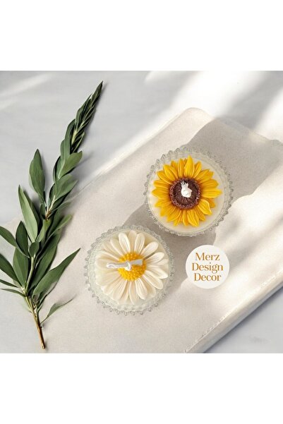 Merz Design Decor Dekoratif Hediyelik Mika Kapaklı Kutuda Ayçiçeği %100 Doğal...