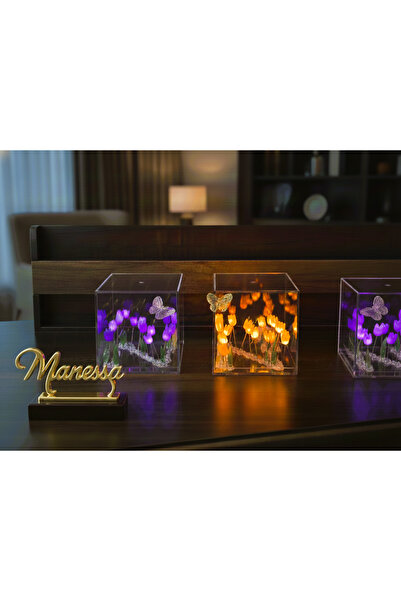 Manessa Romantik Laleler Işıklı Küre Gece Lambası Big Boy