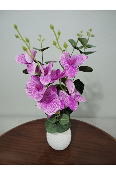 SAKLI ATÖLYEM Pembe Damarlı Orkide Beyaz Vazolu