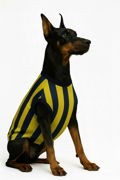 Yumuşak Tüylü Patiler Cat-Dog Fan Jersey Yellow Navy Blue - Large Breed - Sin...