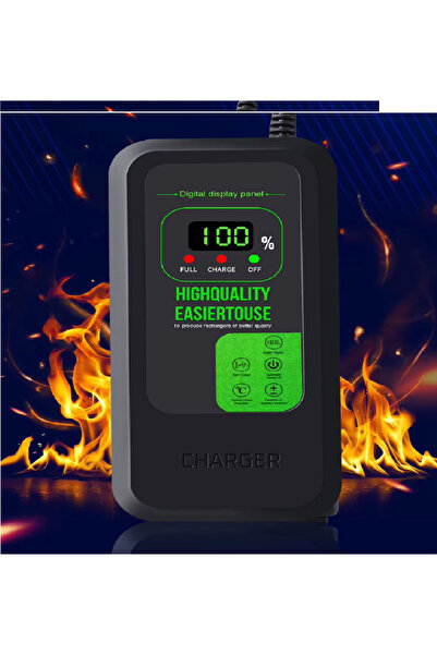 Squirrel شاحن سكوتر دراجه كهربائيه دجتال 48V2A