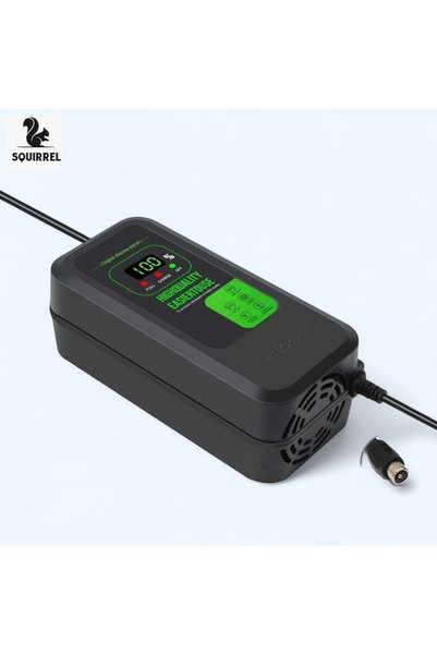 Squirrel Scooter charger, 48V2A lithium battery