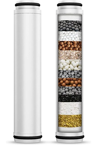 LA' PRECIOUS 2 Pack Filter