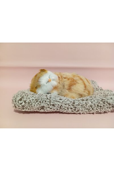 shop Miyav Sesi Çıkaran Uyuyan Kedi