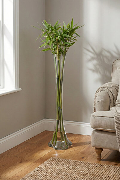 moontime alaçatı 80 cm uzun cam vazo, şık ve modern dekorasyon için ideal seçim