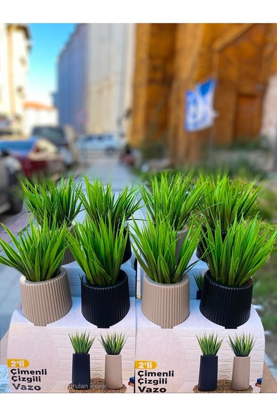 Dekor dekoratif ikili vazo seti