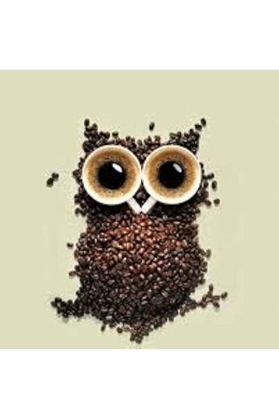 Alcoach Coffee Beans Owl Wall Art – Creative Coffee Design