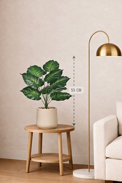 CENTRHOME Heart-shaped leaf seedling, 55 cm long