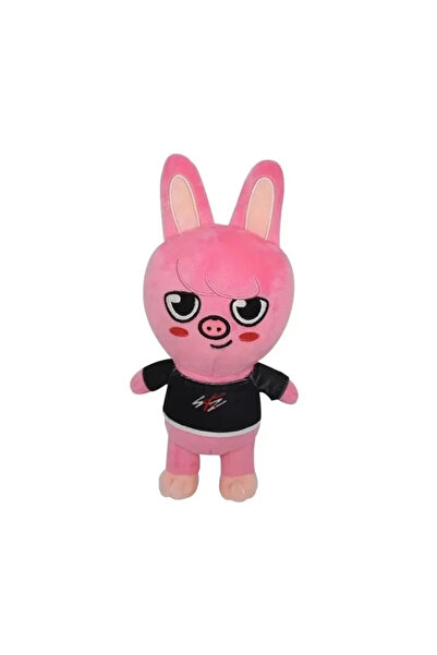 Miniso C Skzoo Plush Toys Kawaii Stray Kid Plush Cartoon Stuffed Animal Plush...