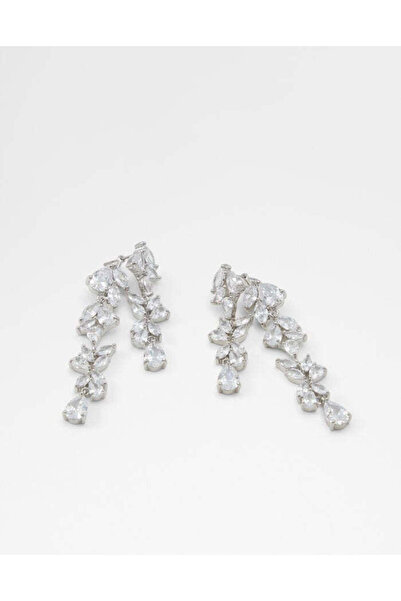 Aldo ويليليث / إكسسوارات