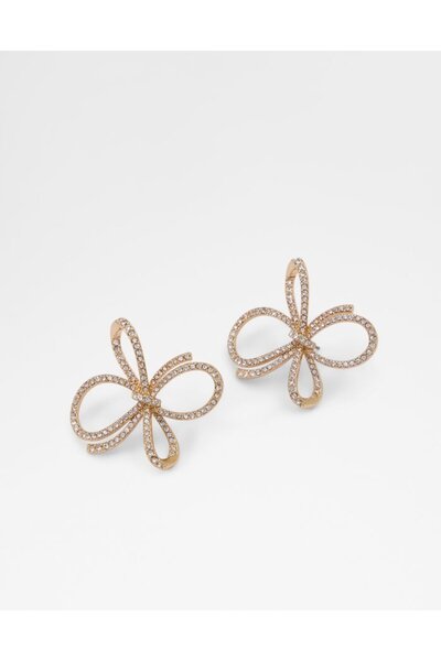 Aldo باوسي / إكسسوارات