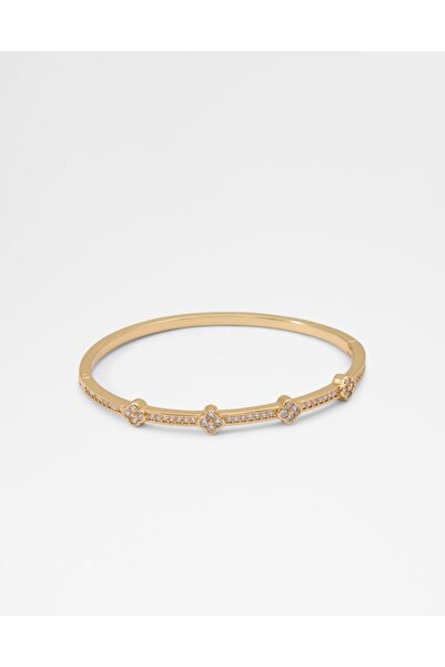 Aldo ماهينمي / إكسسوارات