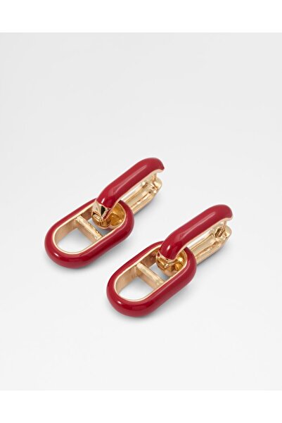 Aldo ألاليجين / إكسسوارات