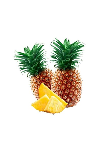 TABER Saksıda Ananas Meyvesi Fidanı (Queen Cinsi)