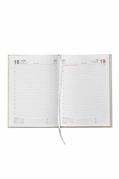 Lizy 2026 Daily Agenda - Elastic Daily Planner - 14 X 20 cm