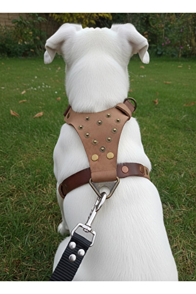 balkonda Dog Harness Pull-Through Back Small and Medium Breed Adjustable Genu...