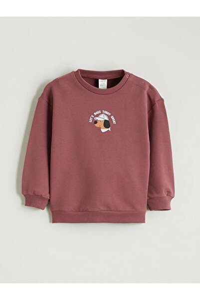 LC Waikiki Crew Neck Printed Baby Boy Sweatshirt (W5)