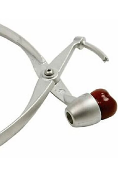 metalocasnice Cherry, Sour Cherry, Olive, and Walnut Pitter 19cm, Silver
