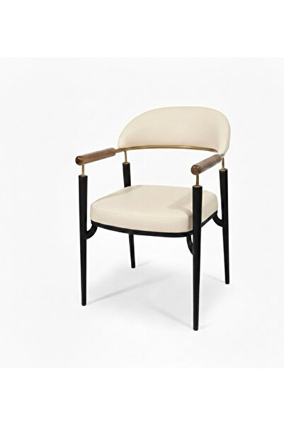 CBG CONCEPT QUATRO AHŞAP KOLLU METAL SANDALYE