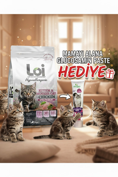 Loi Kitten & Mother Cat - Mama Alana Glucosamin Paste HEDİYE!