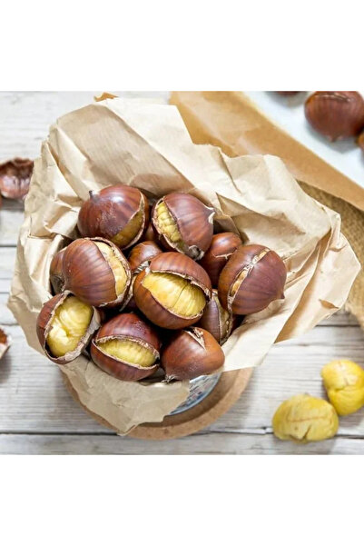 Bazar Istanbul كستناء أبو فروة تركي درجة أولى (1 كيلو) - (ضمان ذهبي)