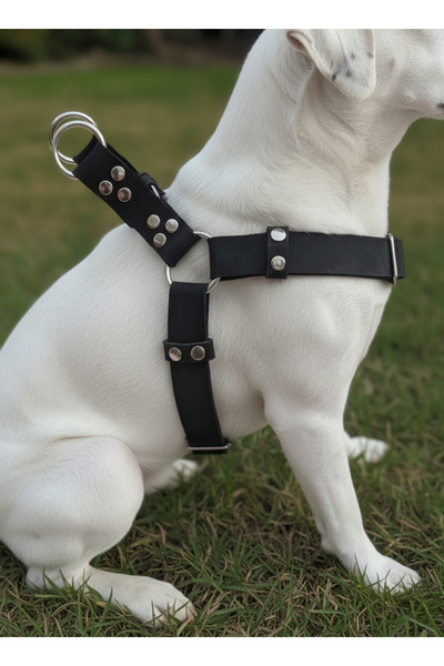 balkonda Dog Collar Medium and Large Breed Adjustable Leather Black