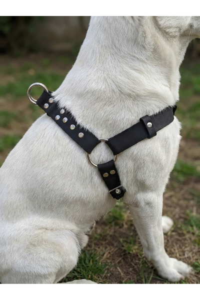 balkonda Dog Collar Medium Breed Adjustable Leather Black